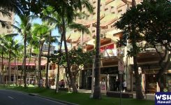 WSH Hawaii-ホワイトサンズホテル365LoveHawaii