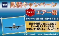 WSH Haawaii-見積キャンペーン№1-エアー