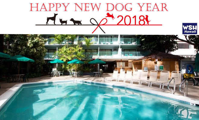 WSH Hawaii-Happy-New-Year2018